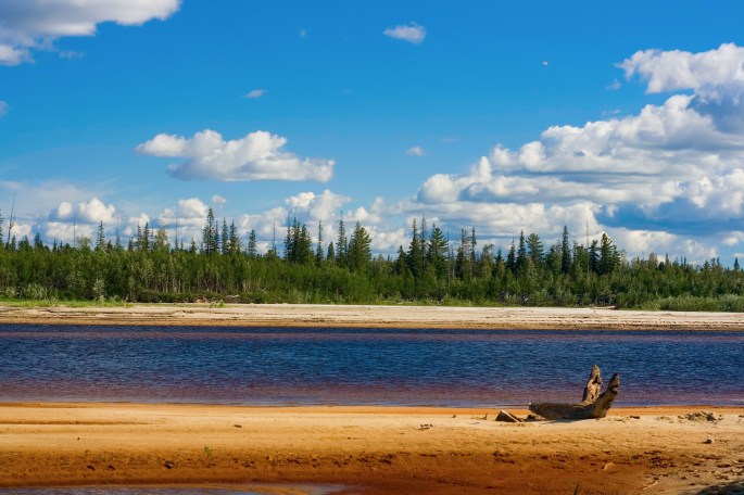extraído de freepik.es